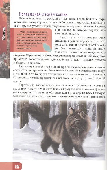 ЭНЦИКЛОПЕДИЯ. В МИРЕ ЗНАНИЙ. ВСЁ О КОШКАХ - фото 5