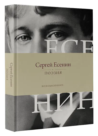 Поэзия. Все в одной книге - фото 3