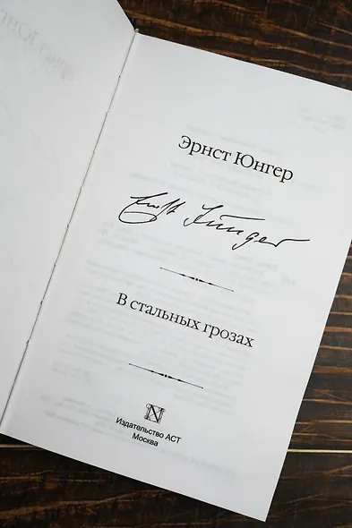 В стальных грозах - фото 8