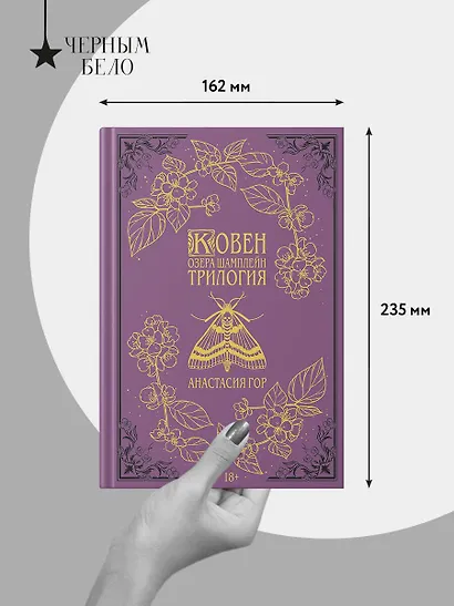 Ковен озера Шамплейн. Трилогия (Подарочное издание) - фото 8