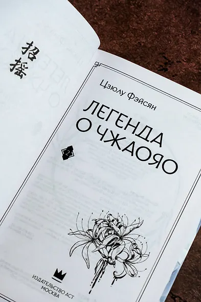 Легенда о Чжаояо. Книга 2 - фото 13