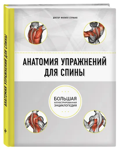 Анатомия упражнений для спины (2-е изд.) - фото 3