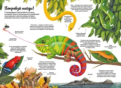 Большая книга о природе в картинках - фото 7