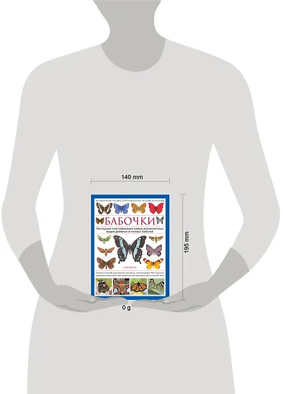 Бабочки! Маленькая энциклопедия. Обаятельная книжка о красивом существе - фото 2