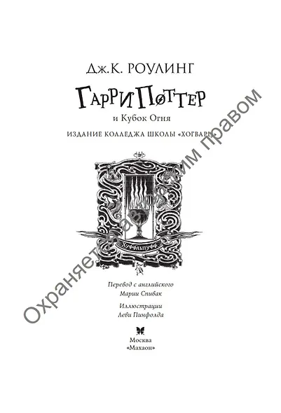 Гарри Поттер и Кубок Огня (Хуффльпуфф) - фото 4