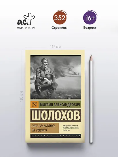 Они сражались за Родину - фото 4