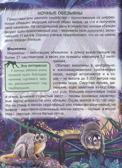 ЭНЦИКЛОПЕДИЯ. ХОЧУ ЗНАТЬ. ОБЕЗЬЯНЫ - фото 7