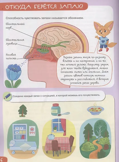 Органы чувств: пробую - фото 4