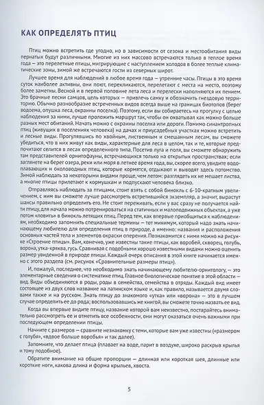 Птицы Европейской части России: фотоопределитель - фото 3