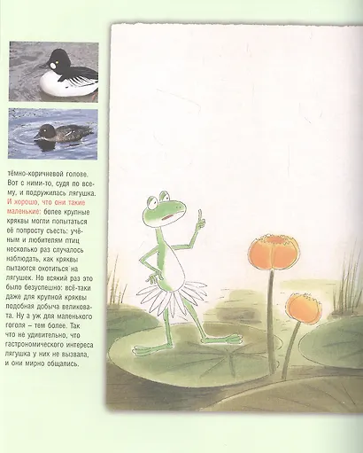 Лягушка-путешественница: Сказка и быль. Научный комментарий к волшебной истории: учебное пособие - фото 4