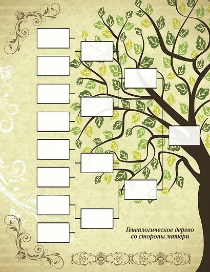 История моей семьи - фото 8