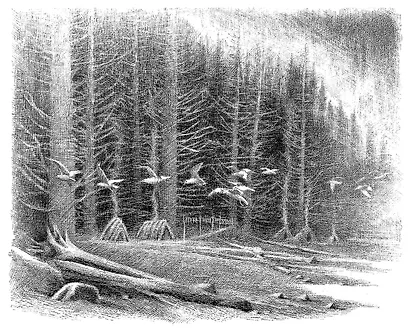 Хроники темных времен. Кн.9. Волчья погибель - фото 6