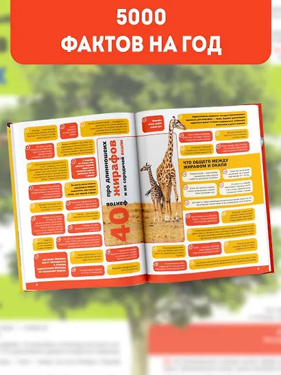 5000 удивительных фактов, которые можно изучать целый год - фото 5