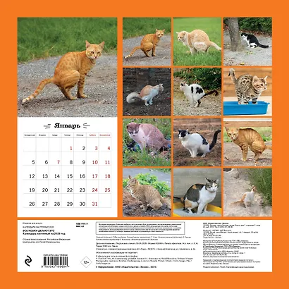 Все кошки делают это. Календарь настенный на 2026 год (300х300) - фото 7