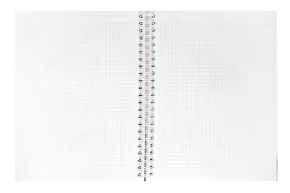 Тетрадь «Mur-Mur», 120 листов в клетку, ваза, спираль - фото 3