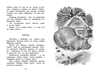 Лесные тайнички - фото 8