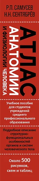 Атлас анатомии и физиологии человека. Учебное пособие для студентов учреждений среднего профессионального образования - фото 7