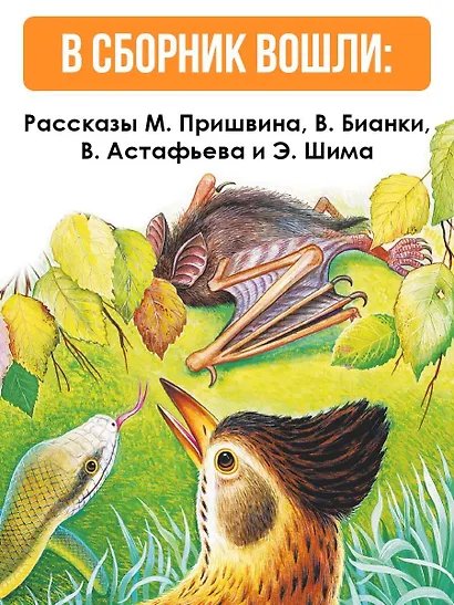 Рассказы о природе - фото 5