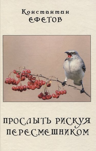 Прослыть рискуя пересмешником. - фото 1