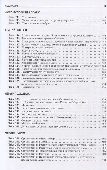 Атлас микроскопической анатомии человека. Учебное пособие для студентов медицинских и биологических специальностей вузов - фото 7