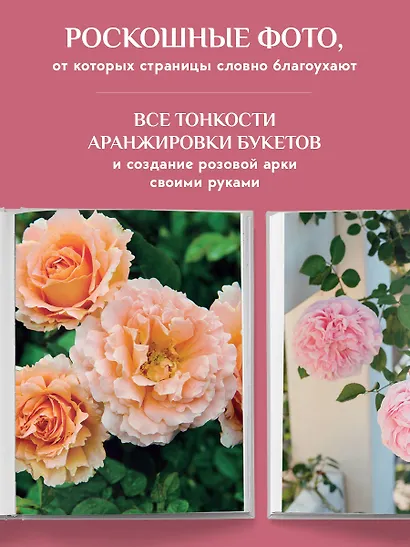 Садовые розы. Полное руководство по выращиванию, уходу и созданию потрясающих букетов - фото 9
