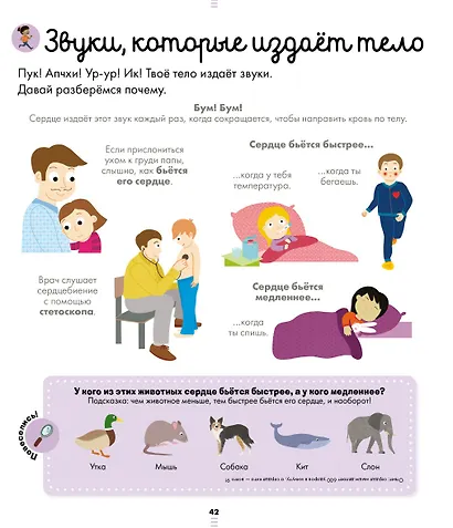 Энциклопедия в картинках. Большая энциклопедия. Тело человека - фото 2