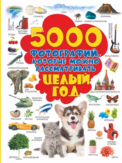 5000 фотографий, которые можно рассматривать целый год - фото 1