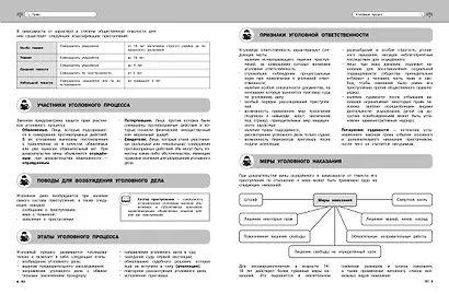 Подготовка к урокам, ОГЭ и ЕГЭ. Обществознание. Удобно и понятно - фото 14