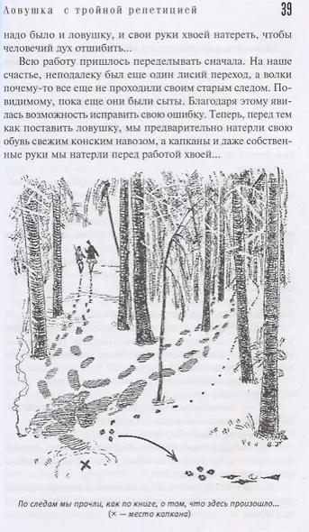Как мы ловили бабушку. Необычайные приключения Боченкина и Хвоща. Баукальские рассказы. Каспийские рассказы - фото 6