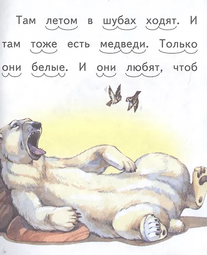 Про белых мишек. Что я видел? - фото 4