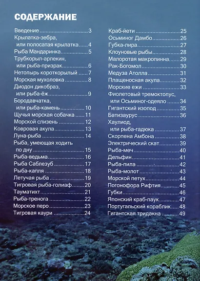 Волшебный и фантастический подводный мир - фото 6