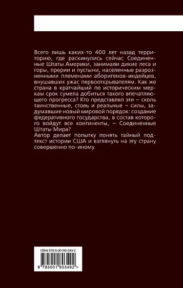 Соединенные Штаты Америки. Тайна рождения - фото 2