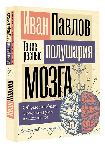 Такие разные полушария мозга. Об уме вообще, о русском уме в частности - фото 3