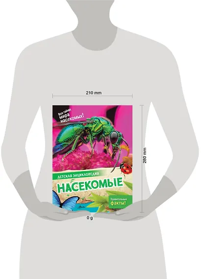 Насекомые - фото 7