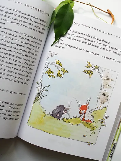 Бельчонок, Медведь и охапка приключений. Повесть - фото 11