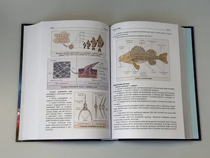 Биология. Пособие для подготовки к ЕГЭ, ДВИ и олимпиадам любого уровня сложности - фото 15