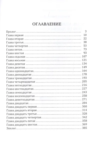 Всем, кому должна - прощаю, или От любви страховки нет! - фото 2