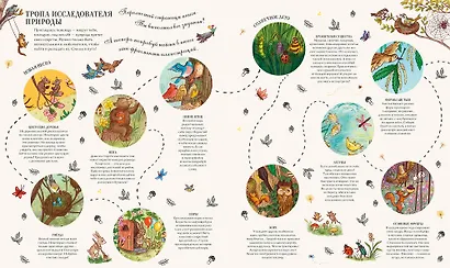 Круглый год в лесу. Виммельбух - фото 6