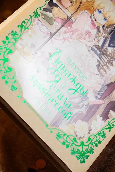 Однажды я стала принцессой. Книга 1 (Кто сделал меня принцессой / Who Made Me a Princess). Новелла - фото 12