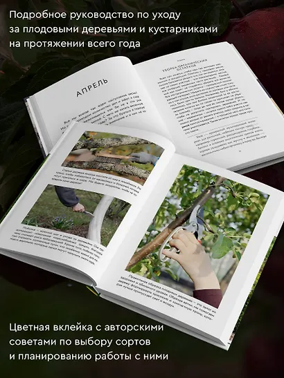 Энциклопедия садовода. Плодовые деревья и кустарники - фото 5
