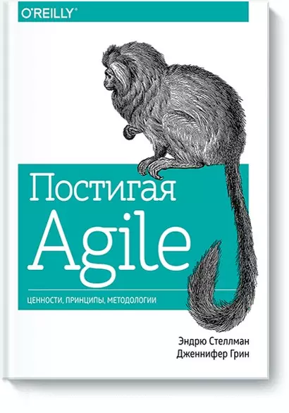 Постигая Agile. Ценности, принципы, методологии - фото 1