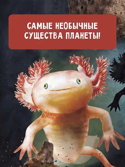 Поразительные животные, которые выглядят как пришельцы - фото 4