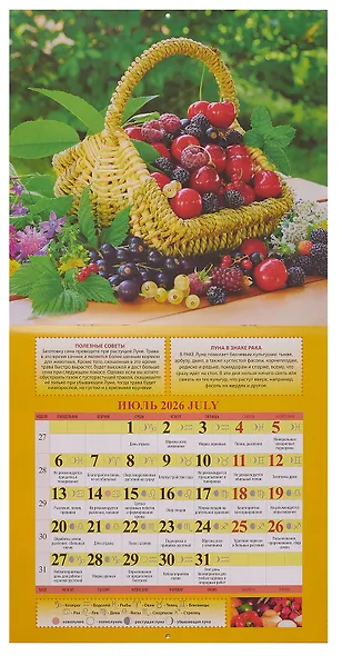 Календарь 2026г 285*285 "Садово-огородный лунный календарь" настенный, на скрепке - фото 3