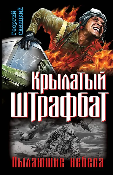 Крылатый штрафбат. Пылающие небеса - фото 1