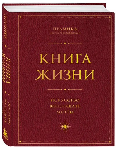 Книга Жизни: Искусство воплощать мечты - фото 3