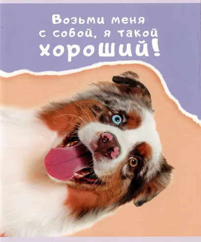 Тетрадь в линейку Listoff, "Веселые собаки", 48 листов, в ассортименте - фото 5