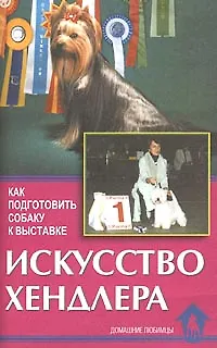 Искусство хендлера. Как подготовить собаку к выставке. - фото 2