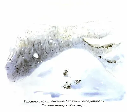 Белый лис - фото 2