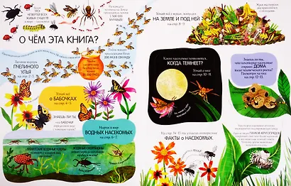 Жуки и бабочки. Более 80 секретных створок - фото 2