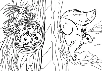 Я Белка - фото 5